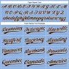 Custom Light Blue Brown-White Performance Vapor Golf Polo Shirt - Image 4